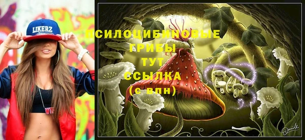 гидропоника Ростов