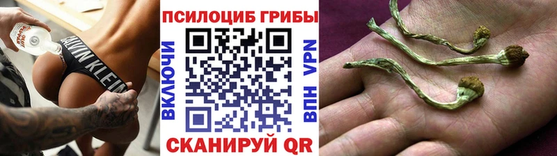Псилоцибиновые грибы мухоморы  Купить где  Спасск-Рязанский 